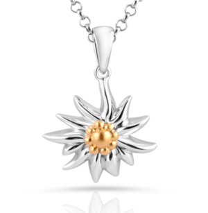 Gexist collier avec pendentif Edelweiss